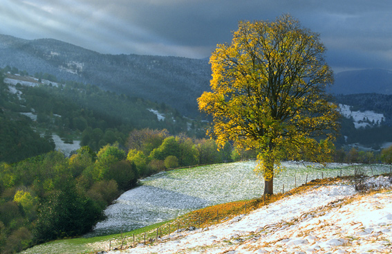 photo "First snow" tags: landscape, winter