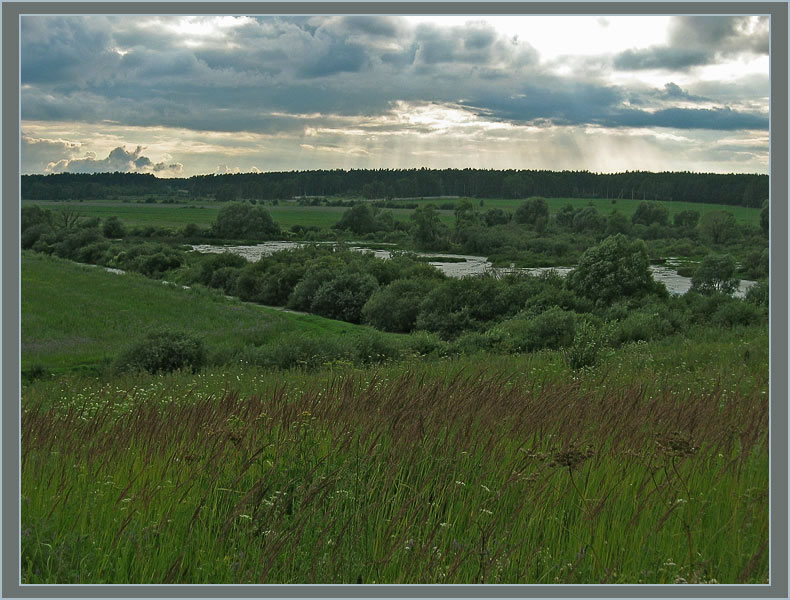 photo "Evening on the Protva river. (Find an elefant)" tags: landscape, summer, water