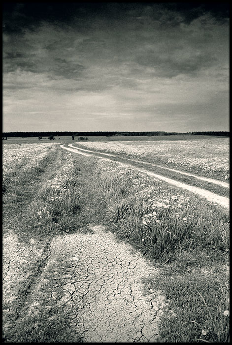 photo "Untitled photo" tags: black&white, landscape, summer