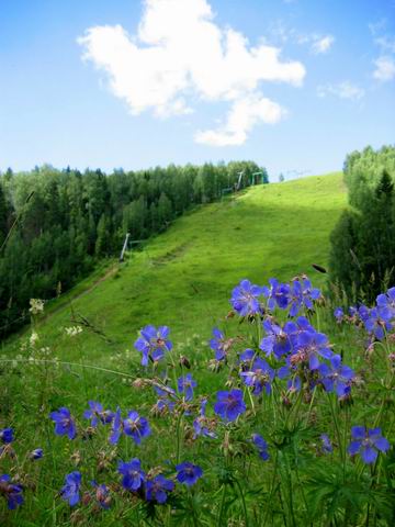 photo "Ski line in the summer.Ural." tags: landscape, summer