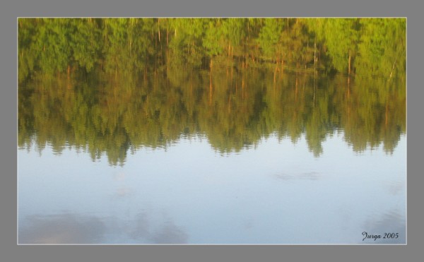 photo "reflection" tags: nature, 