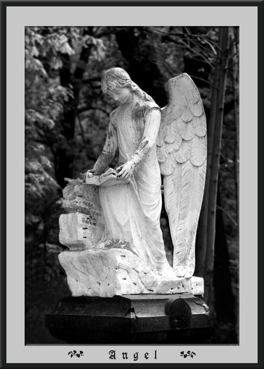 photo "Angel" tags: black&white, 