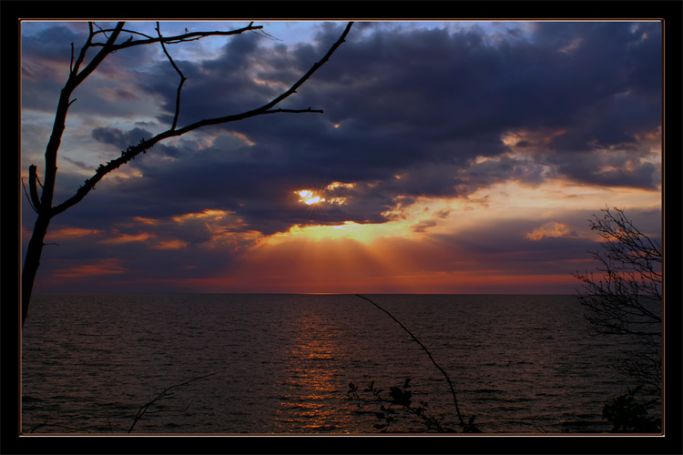 photo "Sincere condition" tags: misc., 
