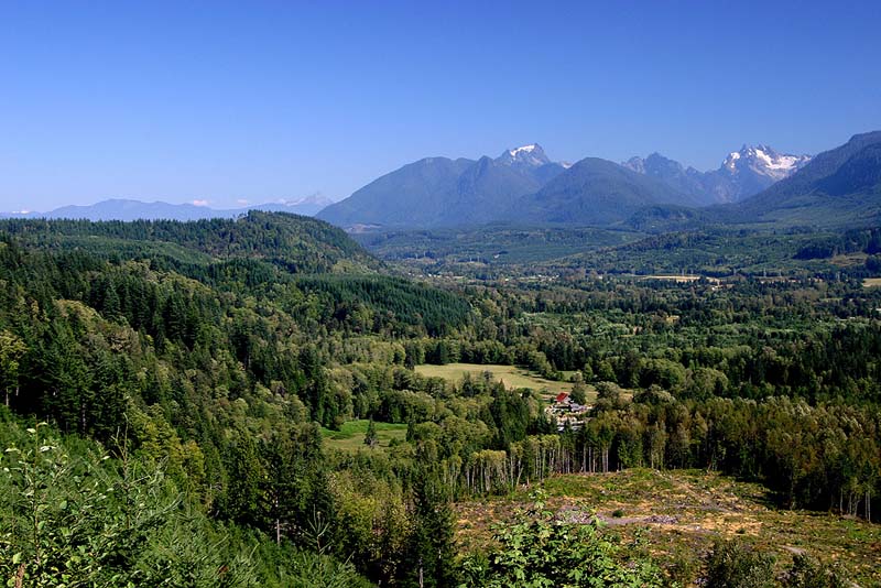 photo "Clear Cut" tags: landscape, forest, mountains