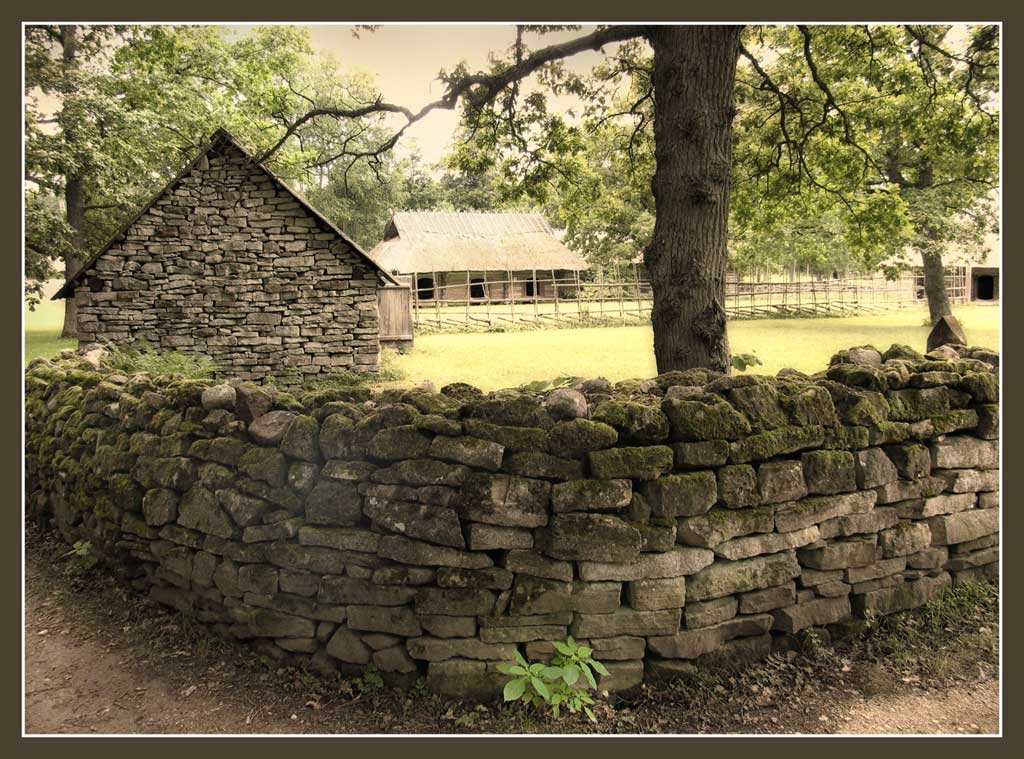 photo "Fencing 2" tags: montage, landscape, summer