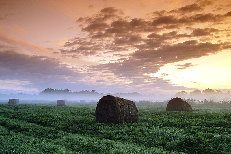 photo "Morning" tags: landscape, sunset
