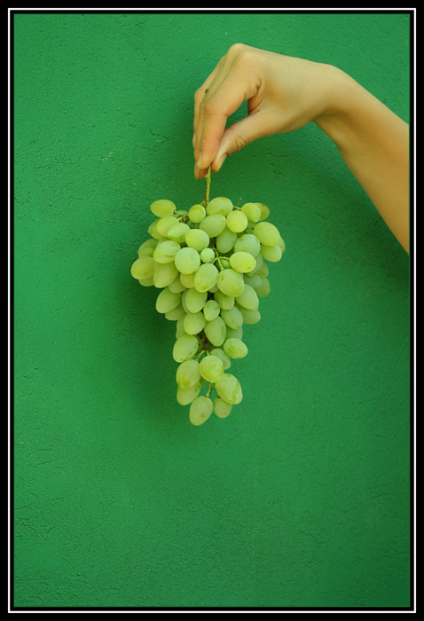 photo "grape" tags: still life, nature, flowers