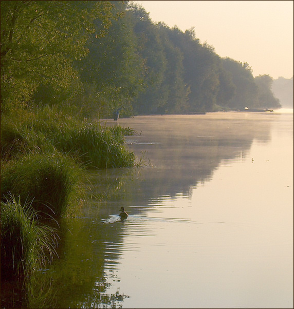 photo "Morning on Moscow-river. On Black, please))" tags: landscape, water