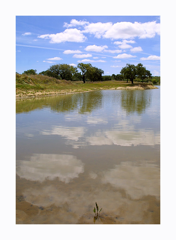photo "from a distance" tags: landscape, water