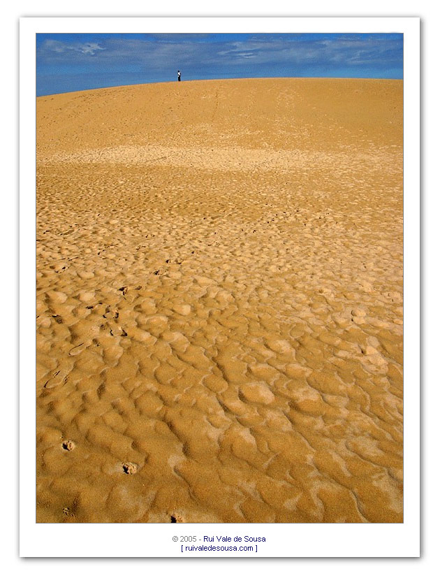 фото "sandman (berenice)" метки: разное, 
