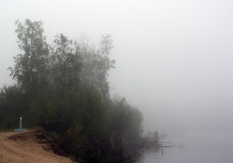 фото "Берег туманной реки" метки: пейзаж, вода, лес
