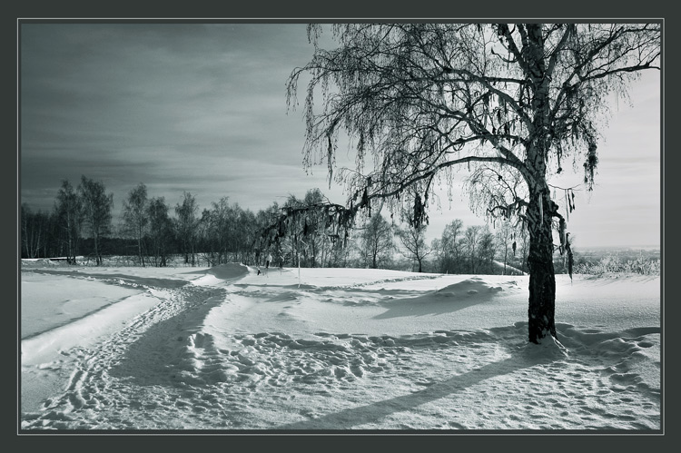 photo "Winter etude with birch" tags: misc., landscape, winter