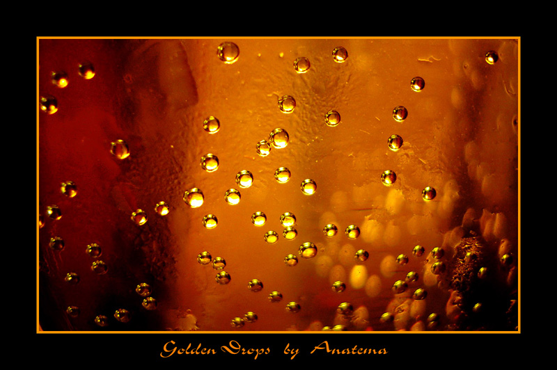 photo "Golden drops" tags: macro and close-up, abstract, 