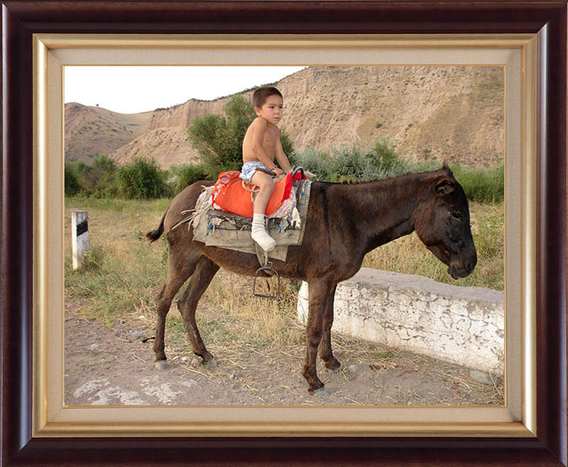 photo "The young horseman" tags: portrait, children