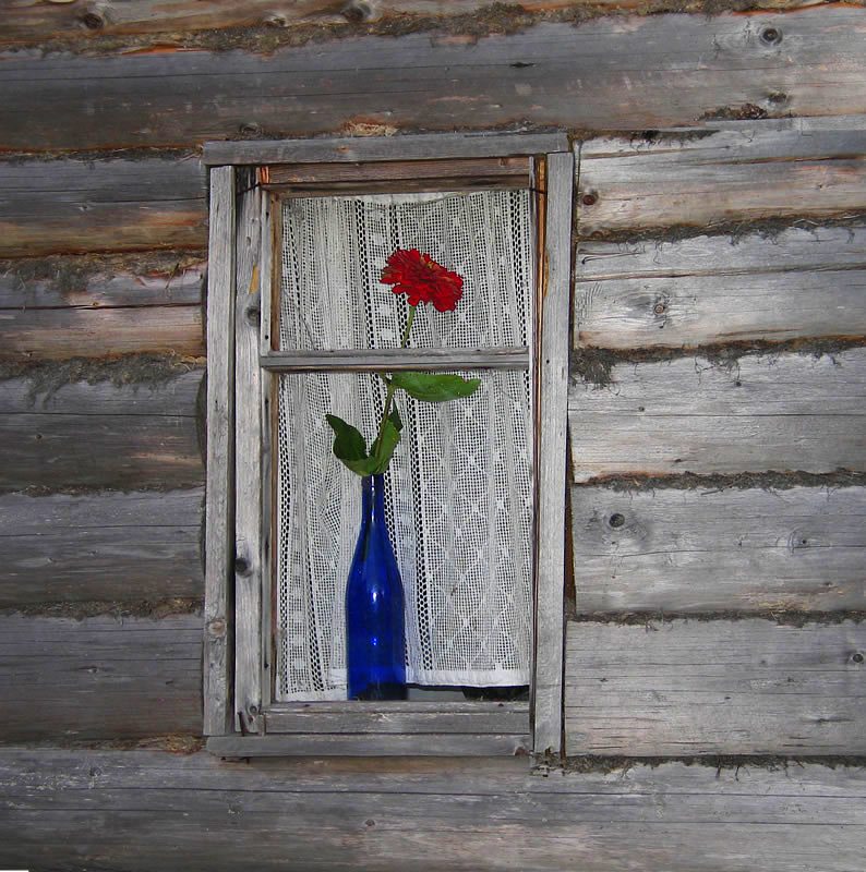 photo "Old window" tags: still life, genre, 