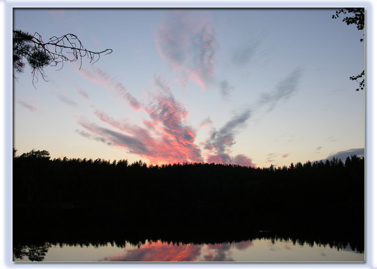 photo "Explosion in a wood" tags: landscape, forest, sunset