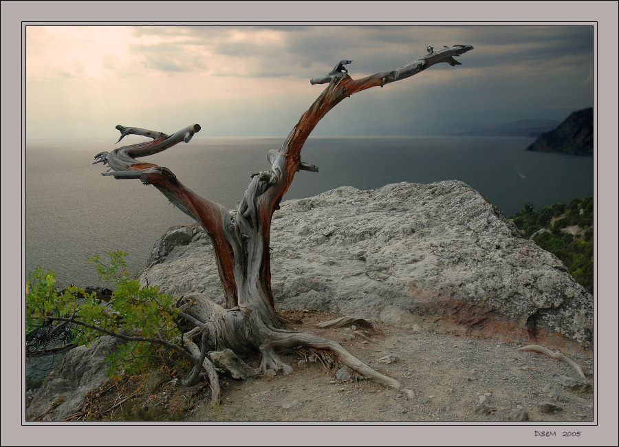 photo "Krimea's Snag" tags: landscape, mountains