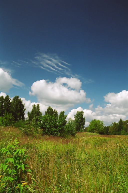 photo "Country life" tags: landscape, summer