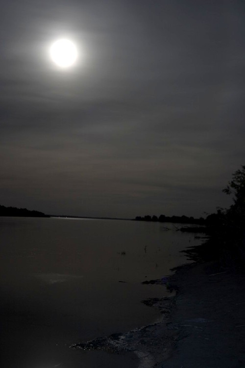 photo "imitation Kuindgy" tags: landscape, night