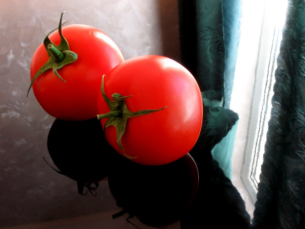 photo "Tomato sketches" tags: misc., still life, 