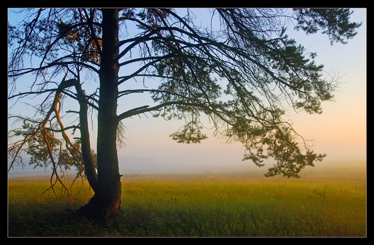 фото "On background of the mist" метки: пейзаж, закат, лето