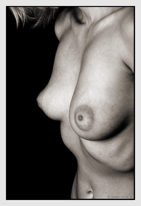 photo "Female Shapes" tags: nude, 