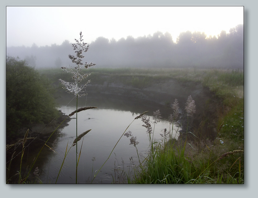photo "Morning fog" tags: landscape, summer
