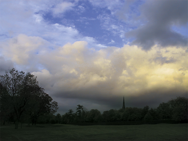 photo "Color" tags: landscape, summer