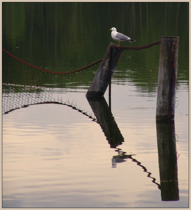 photo "Trapezes and parabolas" tags: misc., 