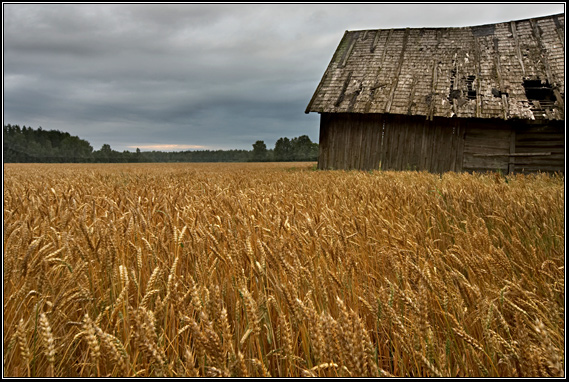 photo "***" tags: landscape, nature, summer