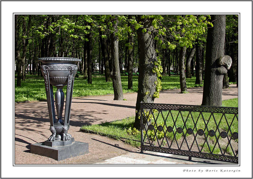 photo "Etudes of a Sammer garden-2" tags: landscape, forest, summer