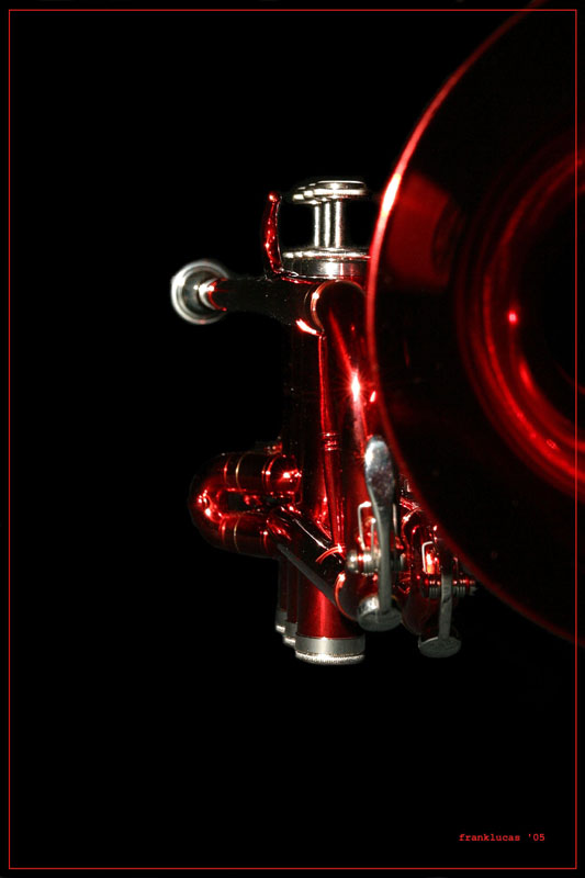 photo "redhorn" tags: still life, 