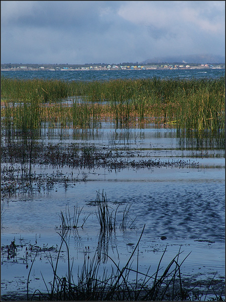 photo "A/N 002" tags: landscape, nature, water