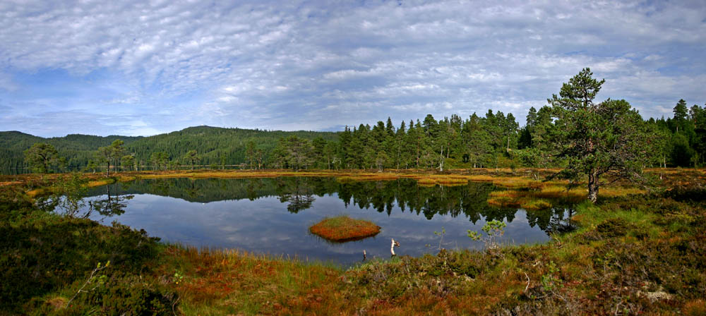 photo "Fall beginning" tags: nature, 