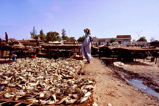 photo "Get your protein" tags: travel, reporting, Africa