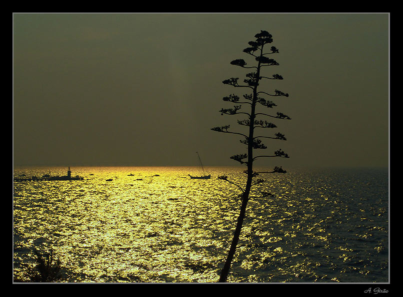 photo "Gold on grey day" tags: landscape, summer, water