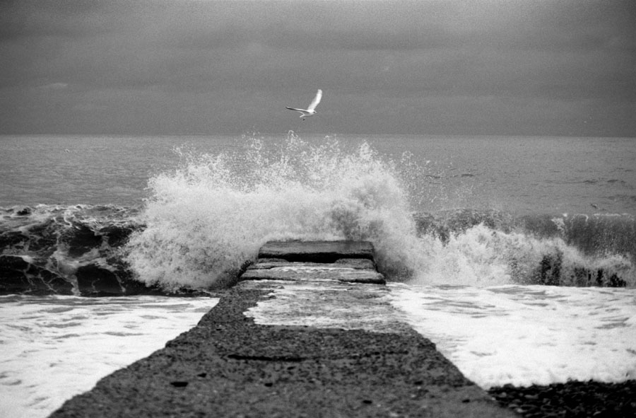 photo "The lonely seagull." tags: travel, 