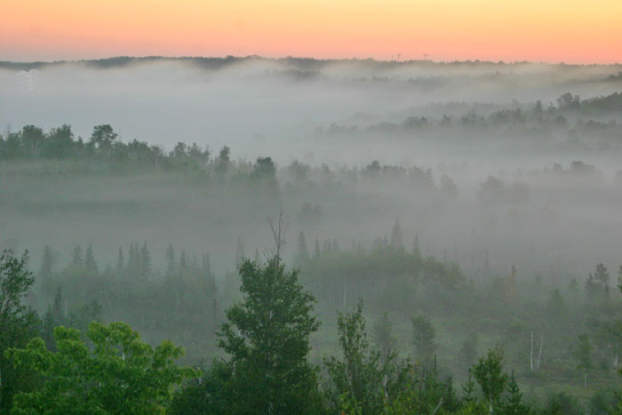 photo "foggy morning" tags: travel, North America