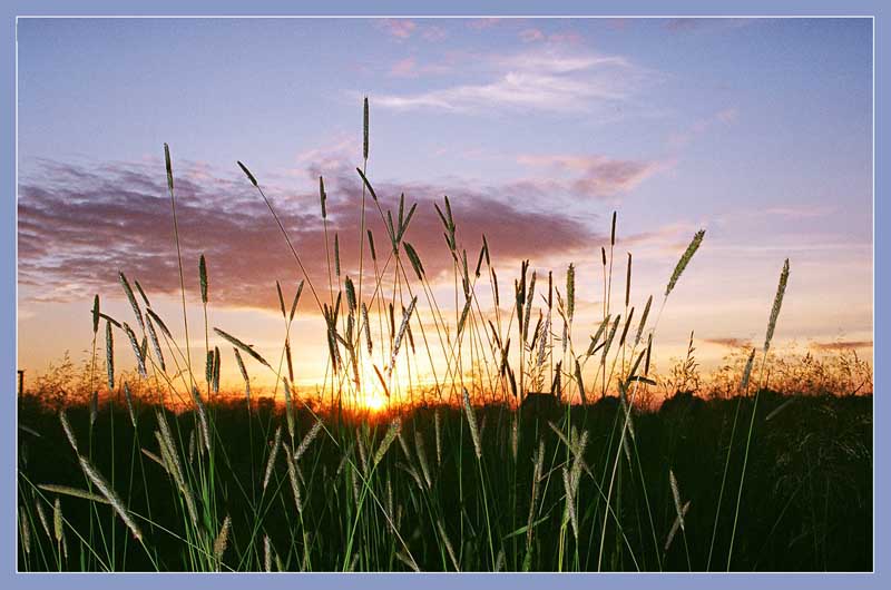 photo "Waking up in the lea of grass" tags: landscape, travel, sunset