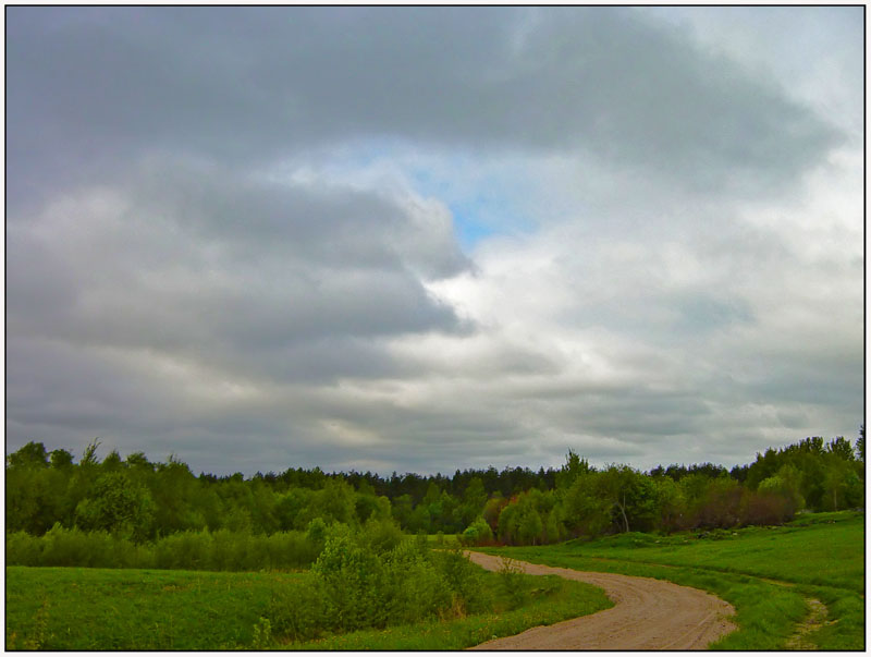 photo "Turn" tags: landscape, clouds, forest