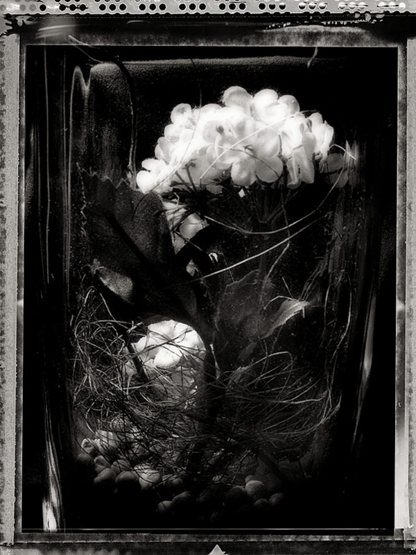 photo "Dead Poems" tags: still life, 