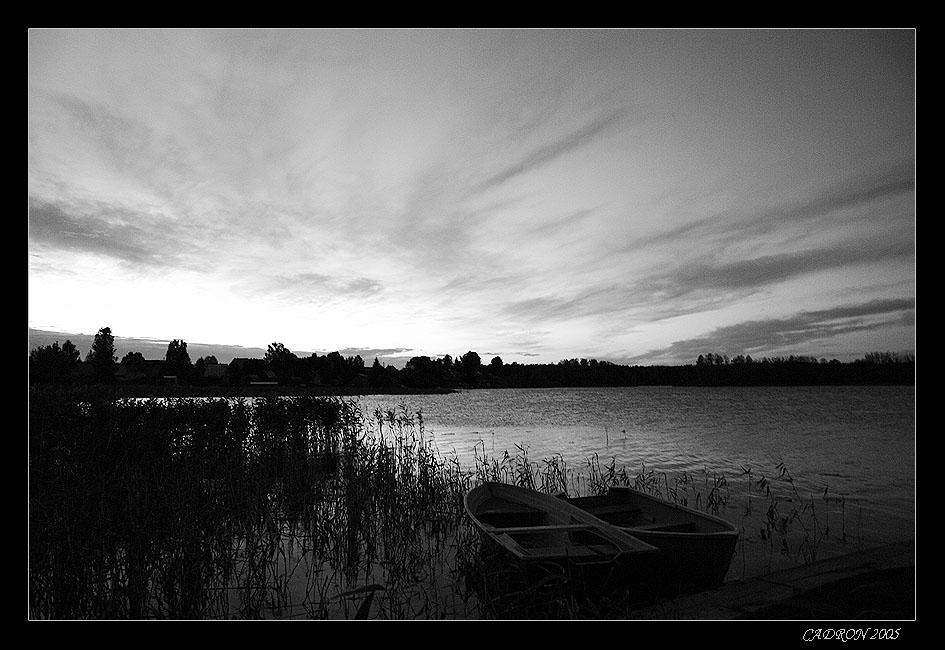 photo "Тоска... (оз. Селигер)" tags: landscape, black&white, water