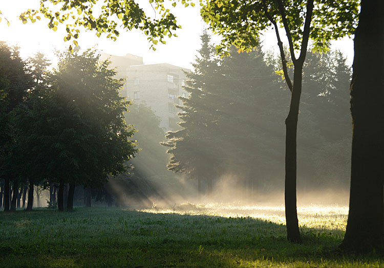 photo "Fog #2. Autumn not far off." tags: landscape, autumn, sunset