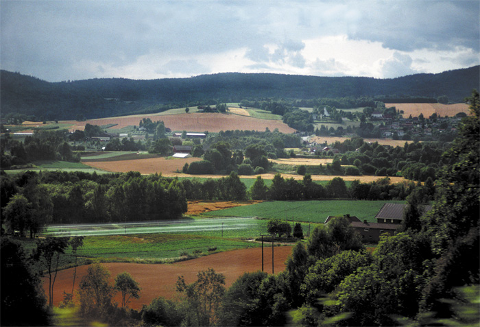 photo "Italy, Florence" tags: travel, 