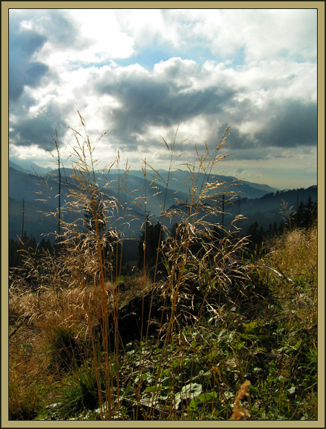 photo "Autumnal" tags: landscape, mountains