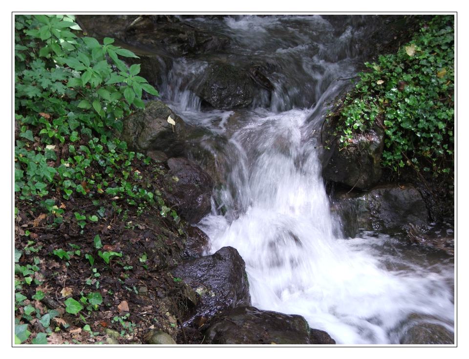 фото "The Small Waterfall" метки: пейзаж, лес, лето