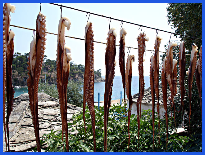 photo "greek dainty with ouzo..." tags: landscape, travel, Europe, summer