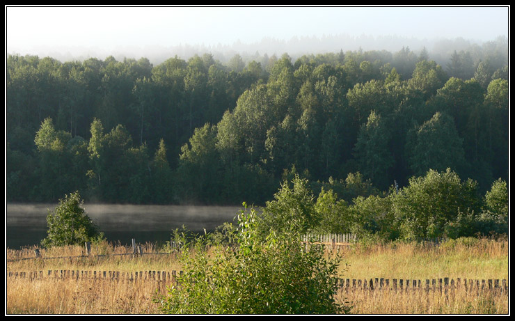 фото "Утро туманное #2" метки: пейзаж, лес