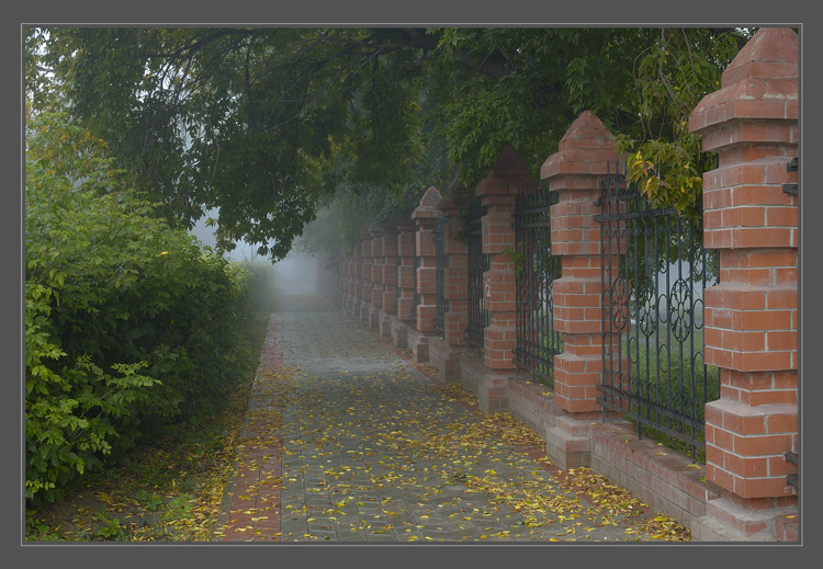 photo "September. The Misty Morning." tags: misc., landscape, autumn