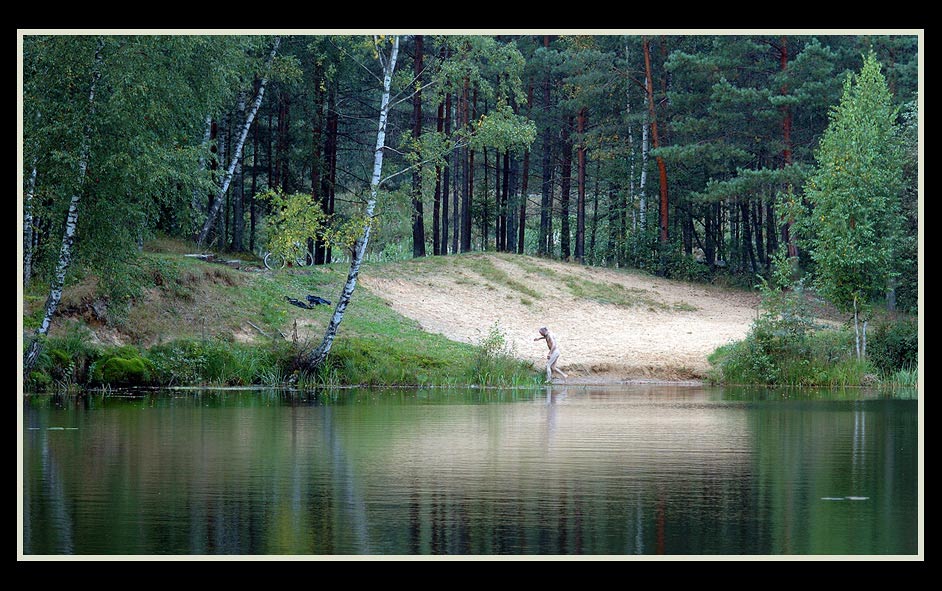 photo "-----" tags: genre, landscape, forest